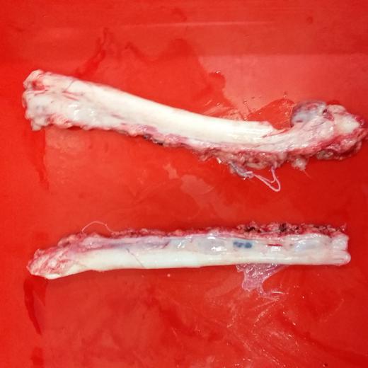 Frozen pork aorta in 10kg cartons img2