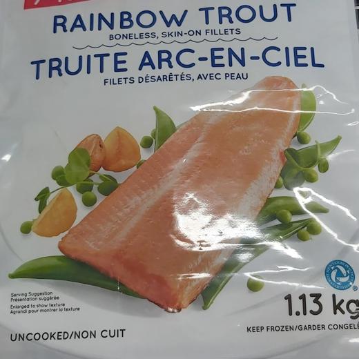 Trucha Arcoiris / Rainbow Trout img4