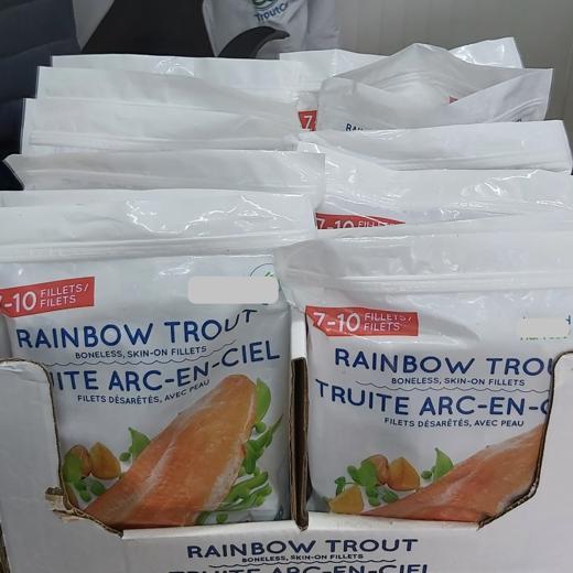 Trucha Arcoiris / Rainbow Trout