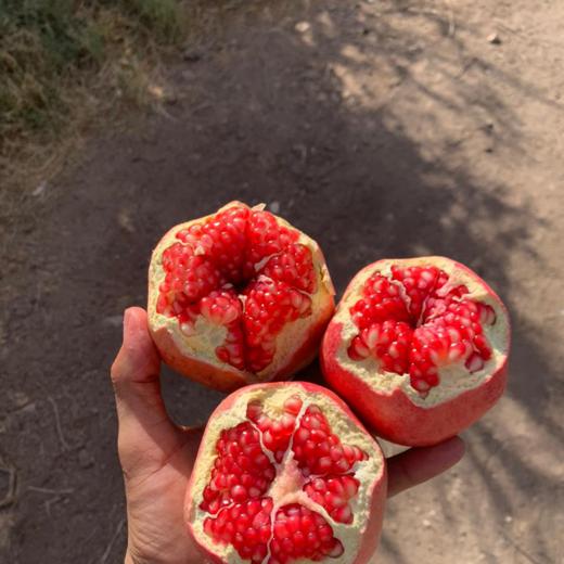 Fresh Pomegranate img1