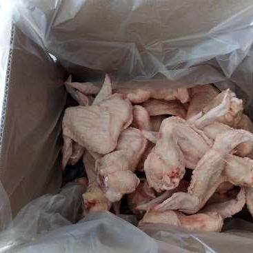 Alas de pollo blancas de primera 3 falanges congeladas individualmente (IQF) caja de 2kg img1