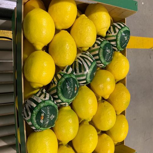 Limones img0