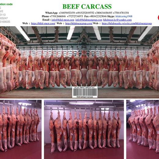 Beef carcass img3