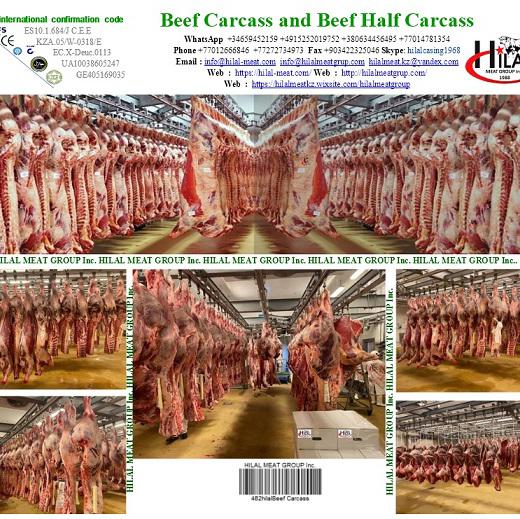 Beef carcass img2