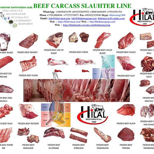 Beef carcass img1