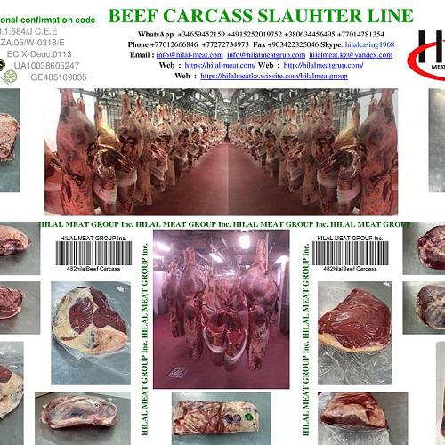 Beef carcass