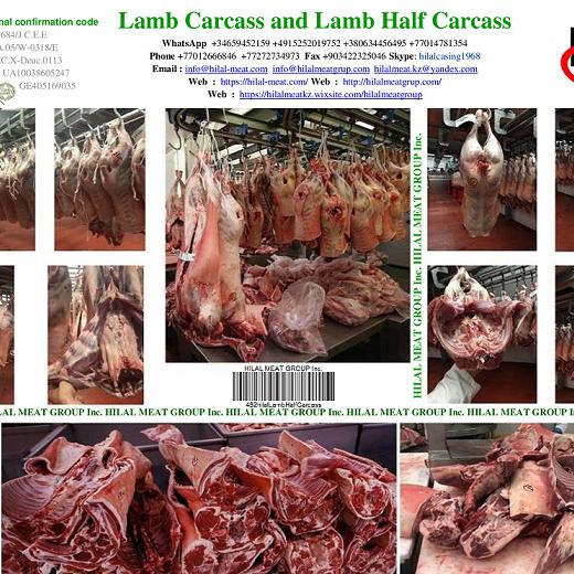 Lamb carcass img2