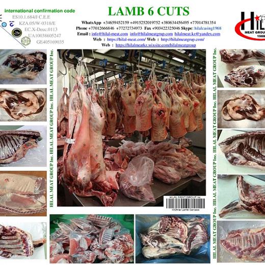 Lamb carcass img3