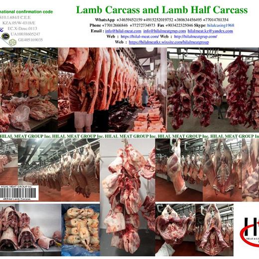 Lamb carcass img1