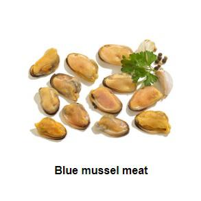 BLUE MUSSEL MEAT