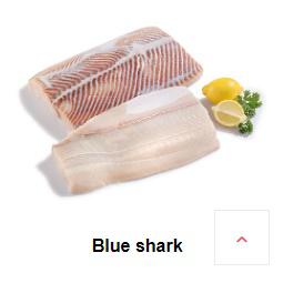 BLUE SHARK