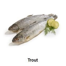TROUT img0