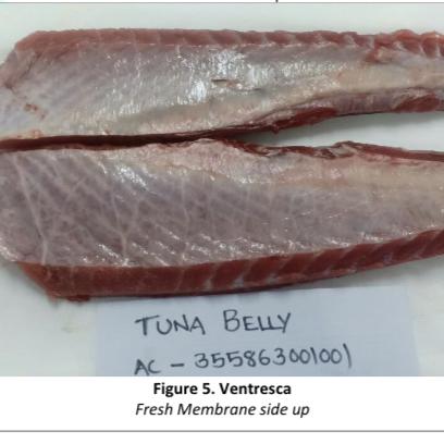 “Ventresca” Tuna Belly img1