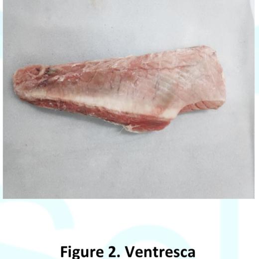 “Ventresca” Tuna Belly img3