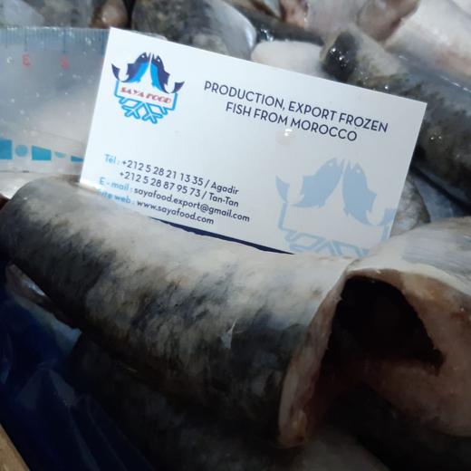 sardine HGT frozen in blocks img0