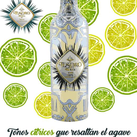 Tequila Blanco El Tesoro de mi Tierra img5