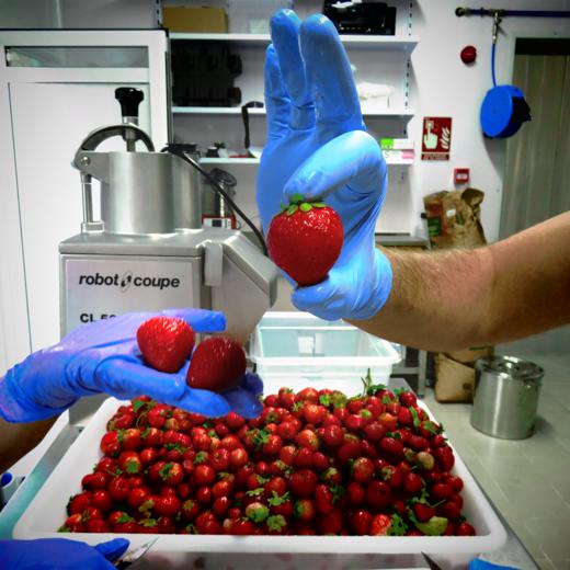 MERMELADAS ECOLÓGICAS 85% FRUTA. CONTENIDO REDUCIDO DE AZÚCAR img4