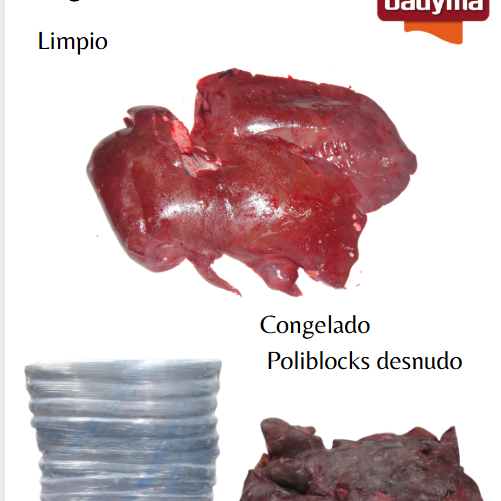 Hígado cerdo ibérico