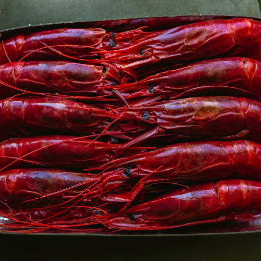 Scarlet / Carabineros Shrimps 8/10 pz/kg