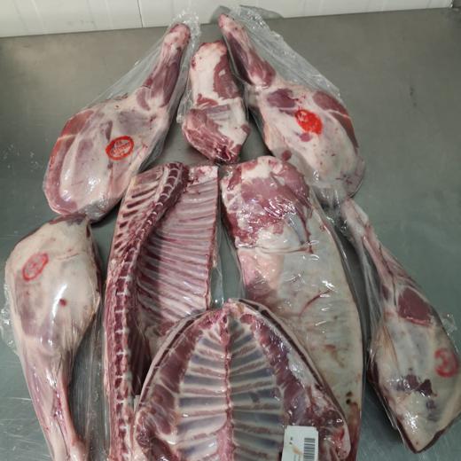 Canal de cordero compensada / Compensate lamb carcass (VP)