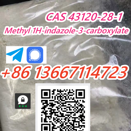 CAS 43120-28-1 Methyl 1H-indazole-3-carboxylate contact telegram@Angeli338 img0