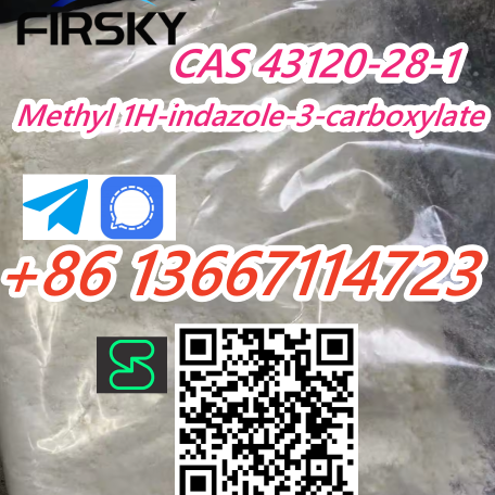 CAS 43120-28-1 Methyl 1H-indazole-3-carboxylate contact telegram@Angeli338 img1