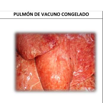 PULMONES DE VACUNO img1