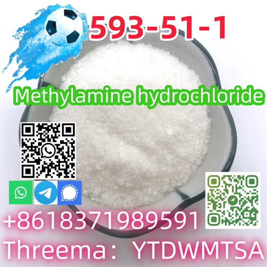Good quality CAS 593-51-1 Methylamine hydrochloride with best price img0
