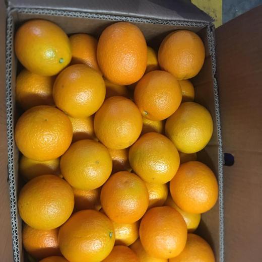 Fresh Oranges img3