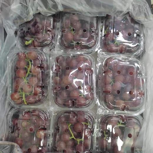 Fresh Grapes img1
