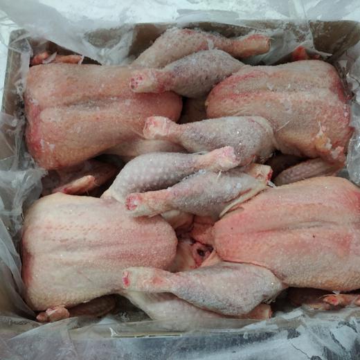 Frozen heavy (breeder) whole hen, 4 pieces/cartons. img1