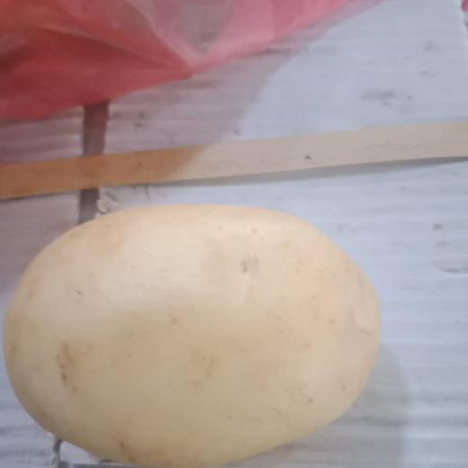 Washed potato/patata lavada img3