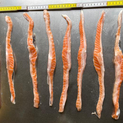 Salmon Bellies 1-3 cm img4