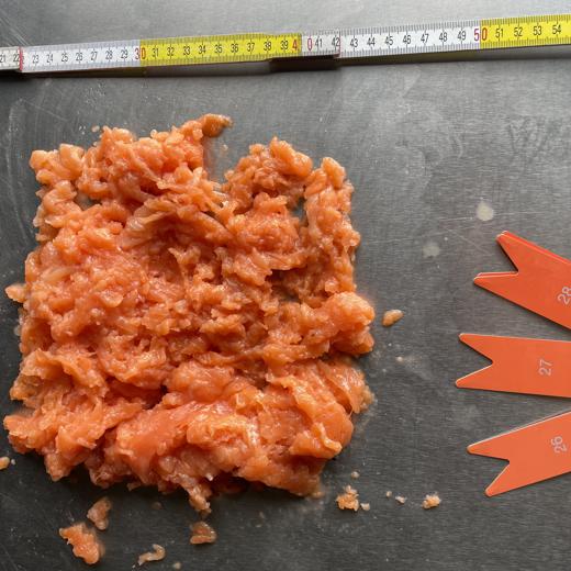 Salmon scrape meat img1